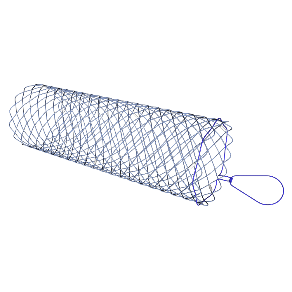SX-ELLA® Enterella – Stent pyloroduodénal